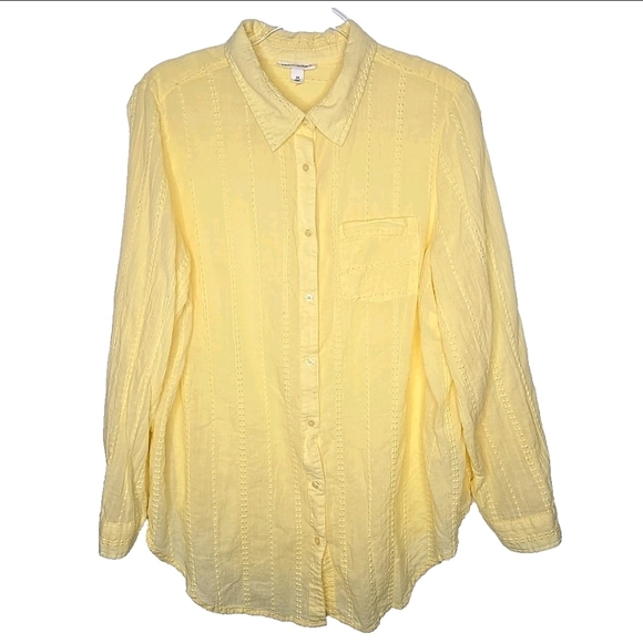 Westport Embroidered Sheer Button Up Top Size 2X Butter Yellow Boho Light Pastel - Picture 1 of 16